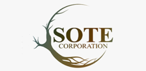SOTE